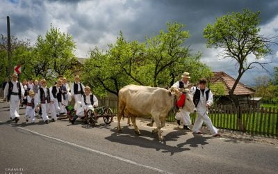 Udătoriu din Șurdești 2019