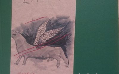 „ai, ai, ai … Rosza-néni” sau cartea unui personaj din Mittelstadt