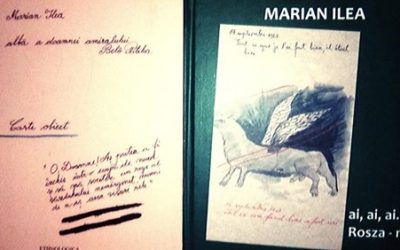 Recenzie la o carte aparută la Editura Ethnologica