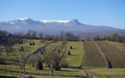 Cercetare de teren în Breb 02-03-2021